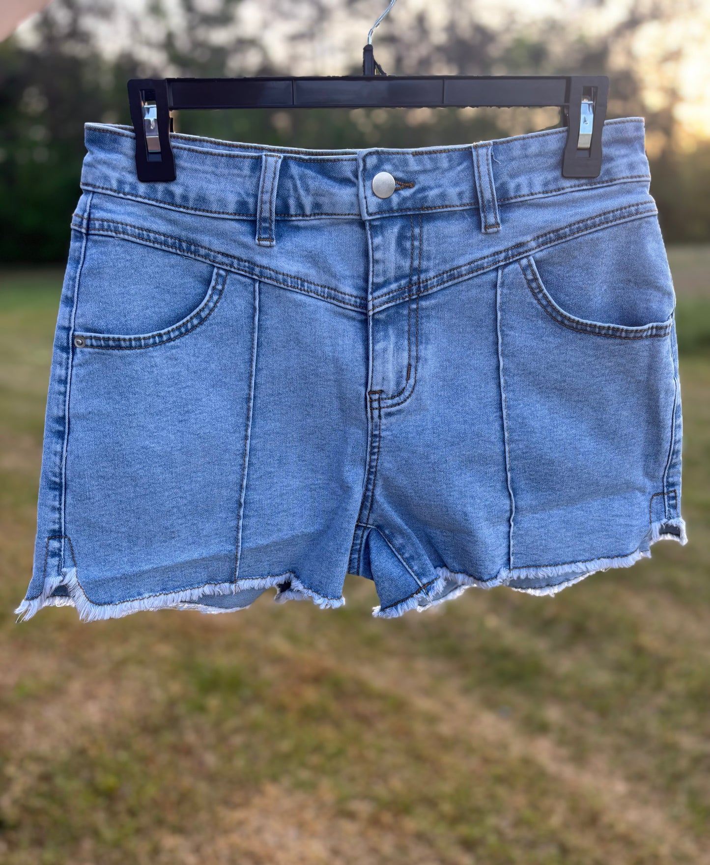 High Wasted Frayed Denim Shorts