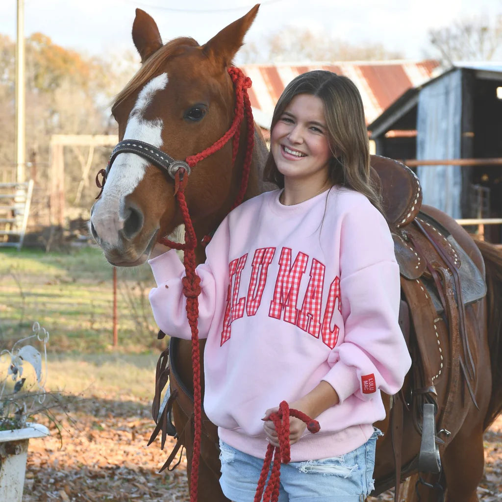 LULU MAC Pink/Red Gingham Sweatshirt
