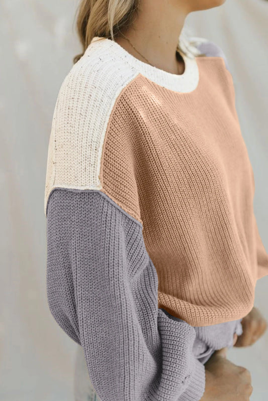 Multicolor Neutrals Color Block Sweater